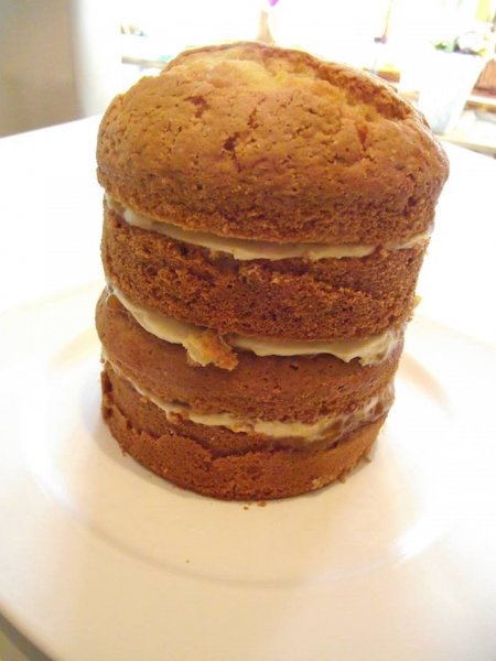 12696274_1005831412797165_1366674351_n