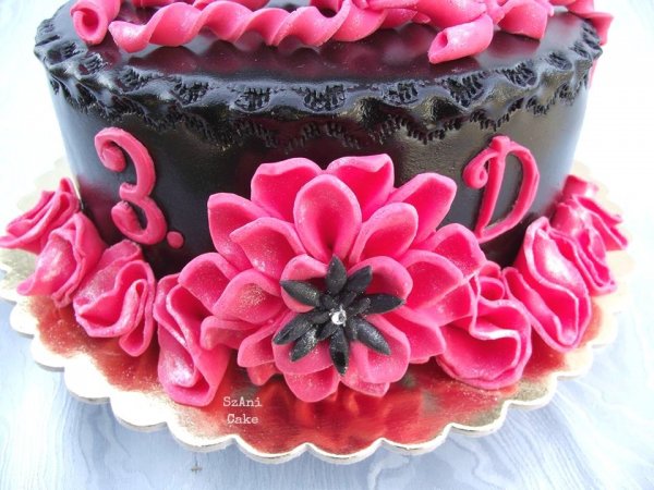 12735976_1009456079101365_2079242290_n