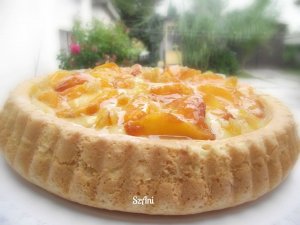 11911884_926375750742732_295272075_n