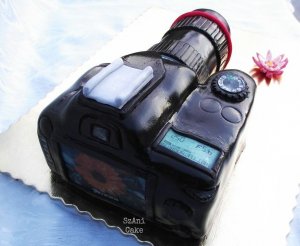 12498460_1015481301832176_1195361666_2n