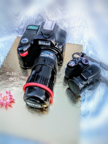 12736190_1110821252283808_2504976182_n