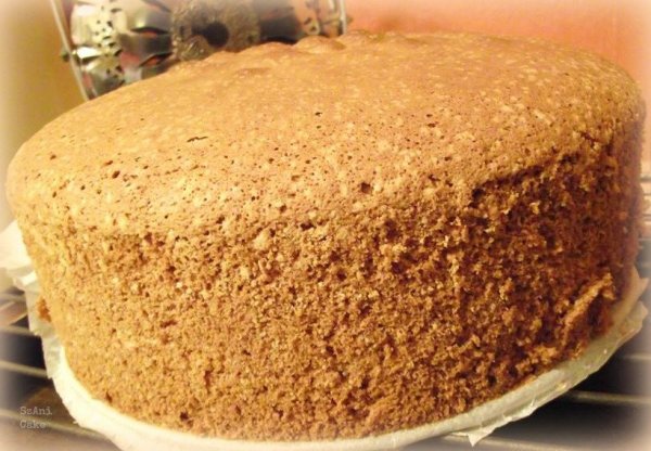 12746574_1009453992434907_334272494_n