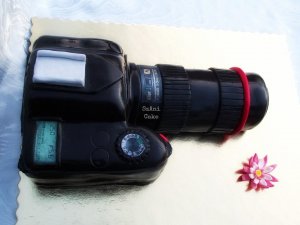 12767630_1015481068498866_18748164492_n