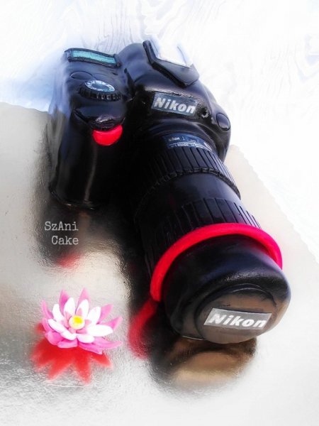 12769549_1015480951832211_6445697502_n