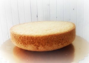 12825620_1113617978670802_1759713259_n